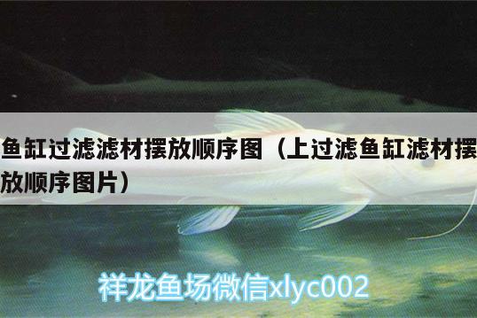 魚缸過濾濾材擺放順序圖（上過濾魚缸濾材擺放順序圖片）