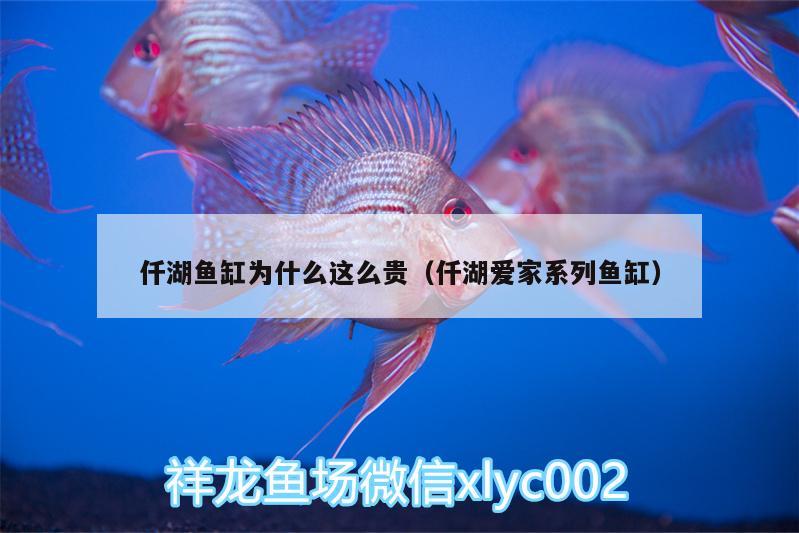 仟湖魚(yú)缸為什么這么貴（仟湖愛(ài)家系列魚(yú)缸）