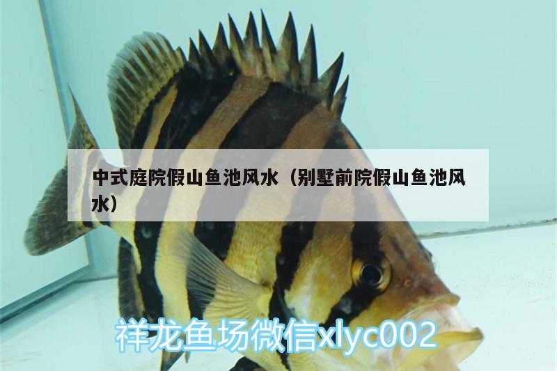 中式庭院假山魚(yú)池風(fēng)水（別墅前院假山魚(yú)池風(fēng)水） 魚(yú)缸風(fēng)水 第2張