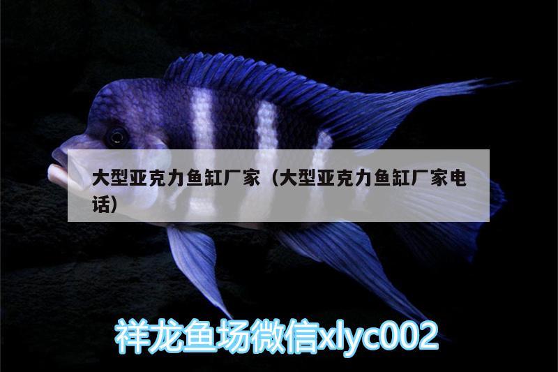 大型亞克力魚缸廠家（大型亞克力魚缸廠家電話） 申古銀版魚 第3張