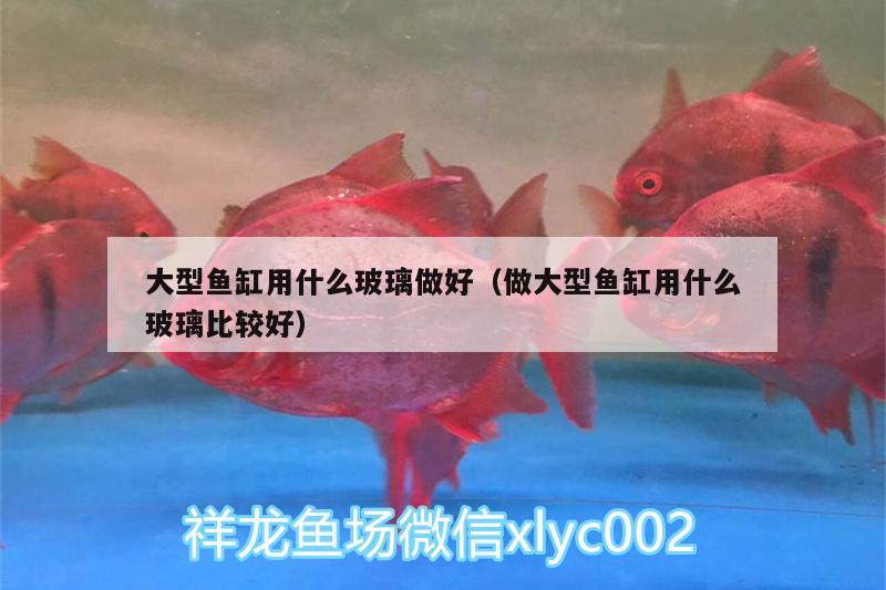 大型魚缸用什么玻璃做好（做大型魚缸用什么玻璃比較好）