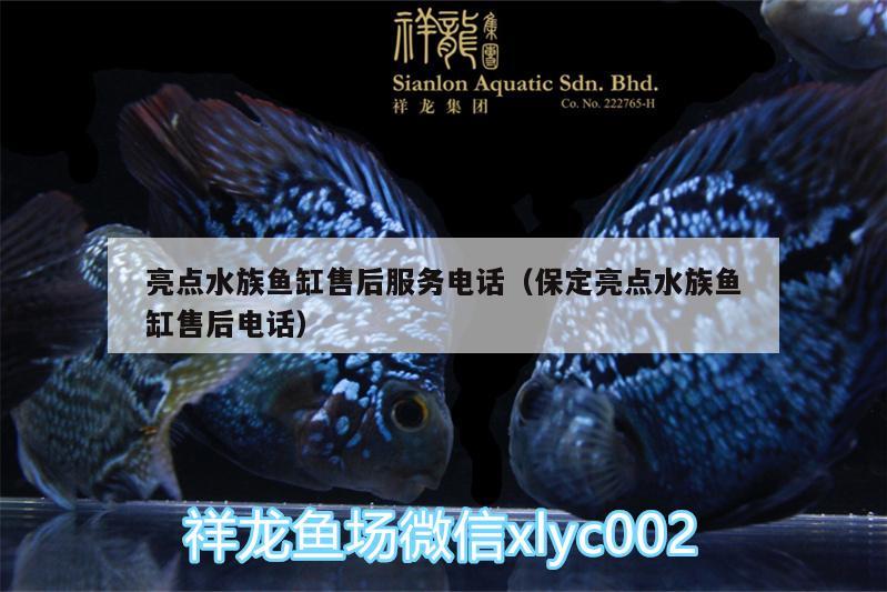 亮點水族魚缸售后服務(wù)電話（保定亮點水族魚缸售后電話）