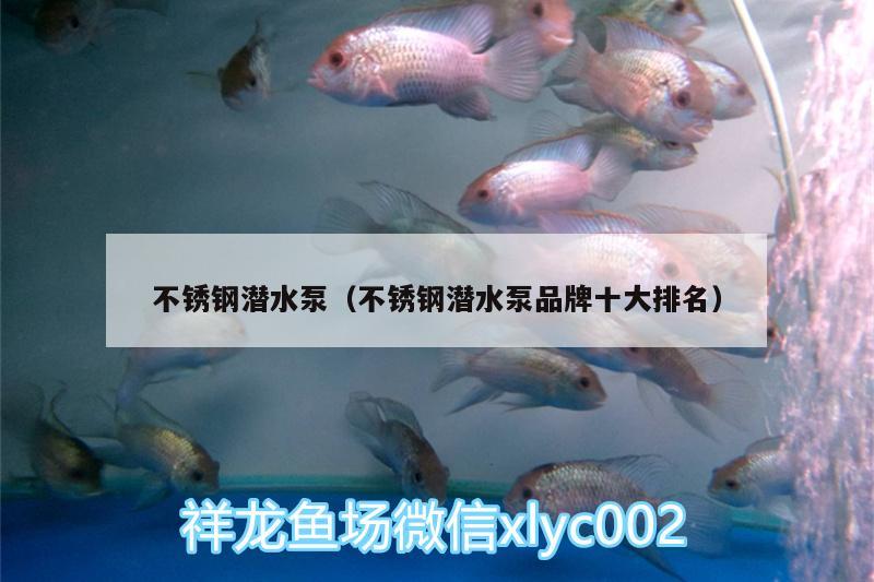 不銹鋼潛水泵（不銹鋼潛水泵品牌十大排名） 魚缸等水族設(shè)備 第1張