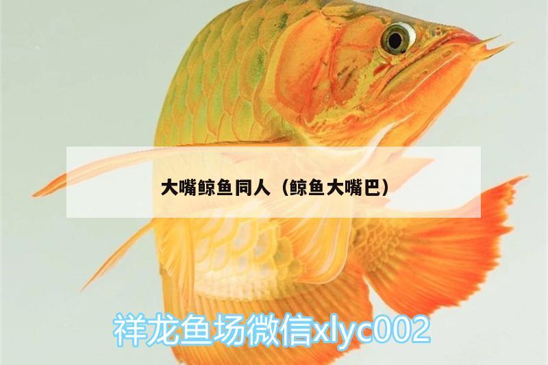 大嘴鯨魚同人（鯨魚大嘴巴） 大嘴鯨魚 第3張