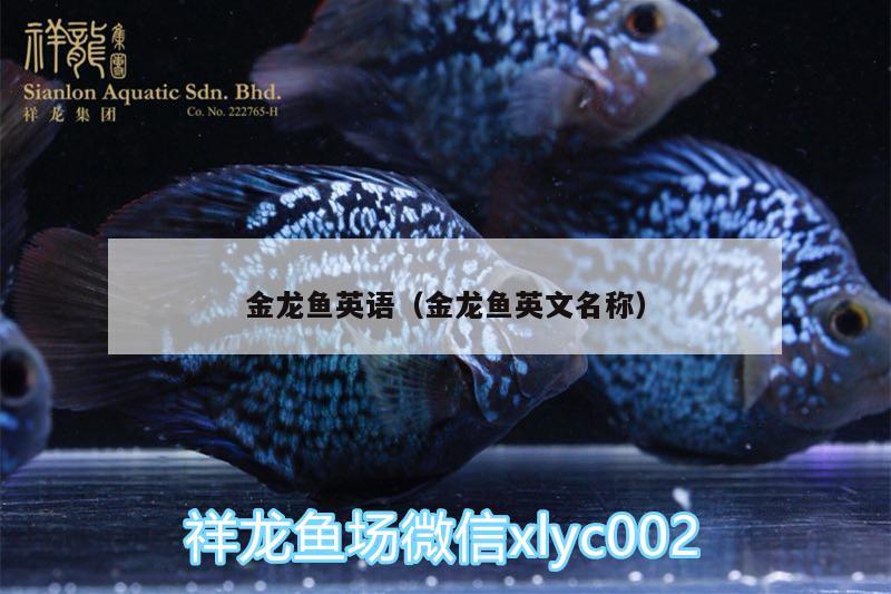 金龍魚(yú)英語(yǔ)（金龍魚(yú)英文名稱） 水族燈（魚(yú)缸燈） 第2張