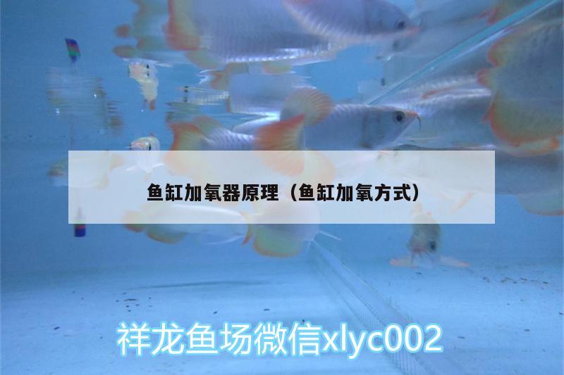 魚(yú)缸加氧器原理（魚(yú)缸加氧方式）