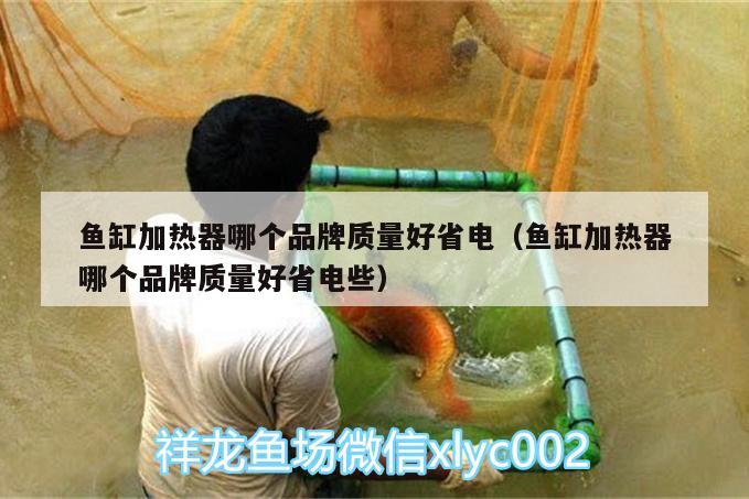 魚缸加熱器哪個品牌質(zhì)量好省電（魚缸加熱器哪個品牌質(zhì)量好省電些）