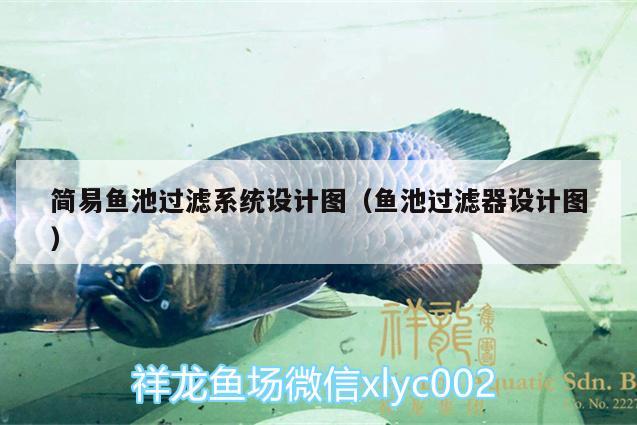 簡易魚池過濾系統(tǒng)設計圖（魚池過濾器設計圖）