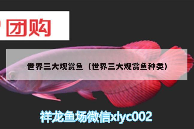 世界三大觀賞魚(yú)（世界三大觀賞魚(yú)種類(lèi)） 紅尾平克魚(yú)