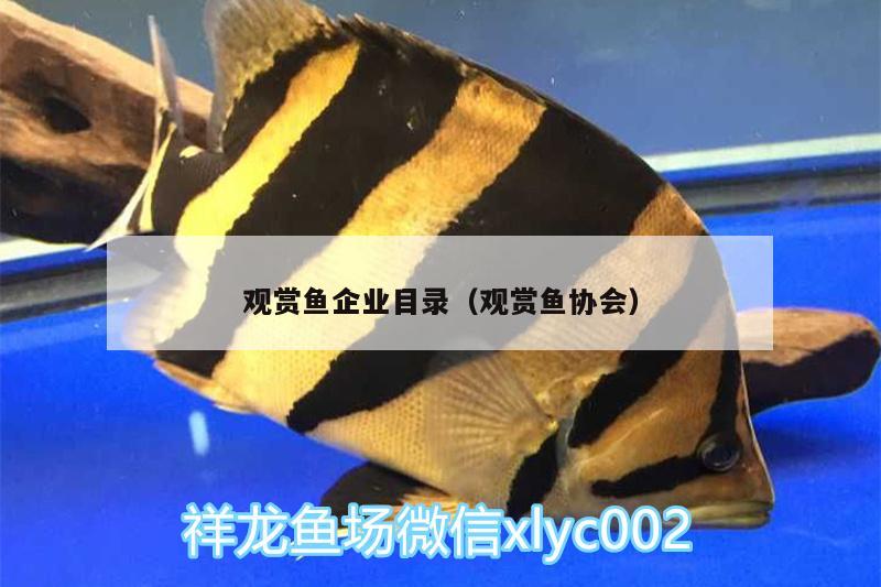 觀賞魚企業(yè)目錄（觀賞魚協(xié)會）