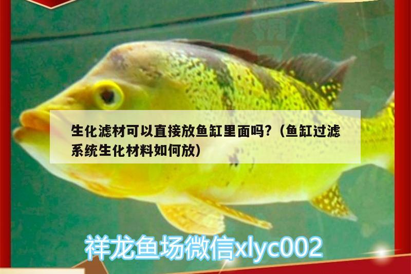 生化濾材可以直接放魚缸里面嗎?（魚缸過濾系統(tǒng)生化材料如何放）