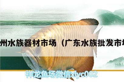 廣州水族器材市場（廣東水族批發(fā)市場）