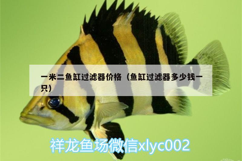 一米二魚缸過濾器價格（魚缸過濾器多少錢一只） 黑桃A魚苗 第1張