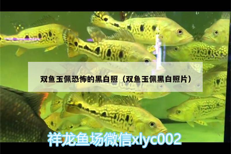 雙魚玉佩恐怖的黑白照（雙魚玉佩黑白照片）