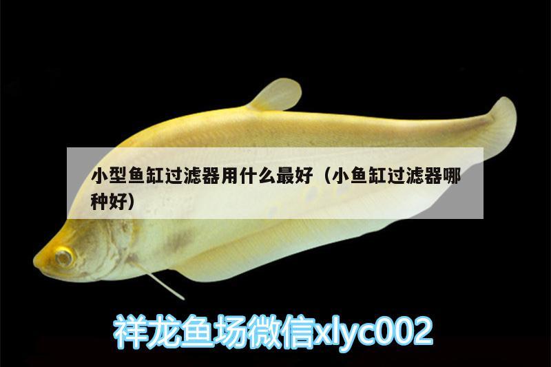 小型魚缸過濾器用什么最好（小魚缸過濾器哪種好） PH調(diào)節(jié)劑