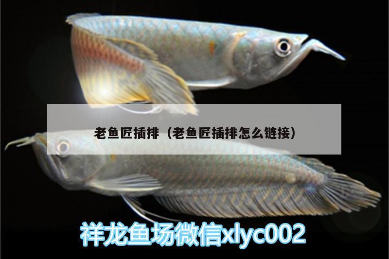 老魚匠插排（老魚匠插排怎么鏈接）