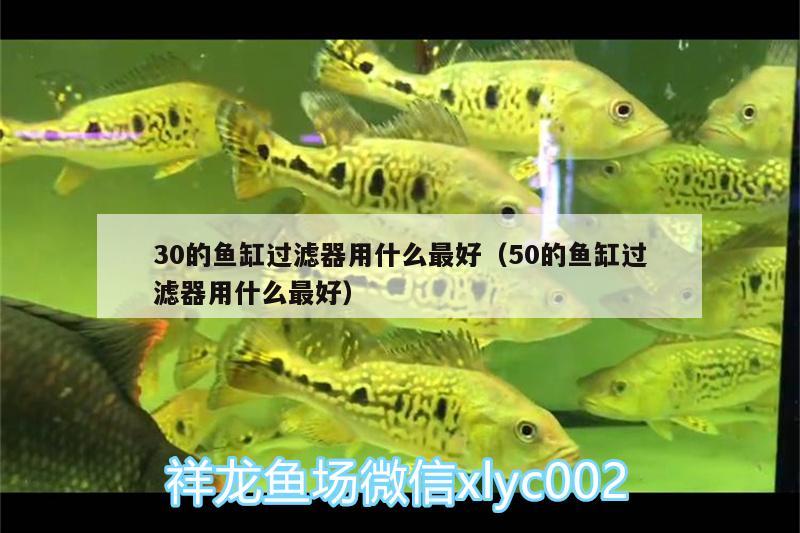 30的魚(yú)缸過(guò)濾器用什么最好（50的魚(yú)缸過(guò)濾器用什么最好） 野生地圖魚(yú) 第3張