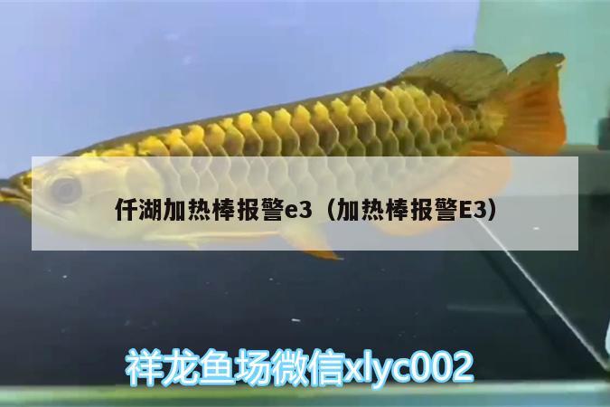 仟湖加熱棒報警e3（加熱棒報警E3） 仟湖 第1張