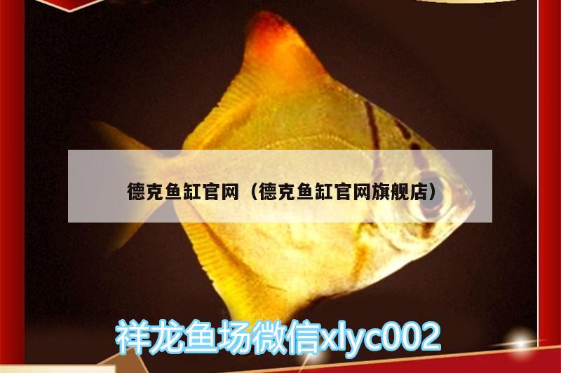 德克魚缸官網(wǎng)（德克魚缸官網(wǎng)旗艦店）