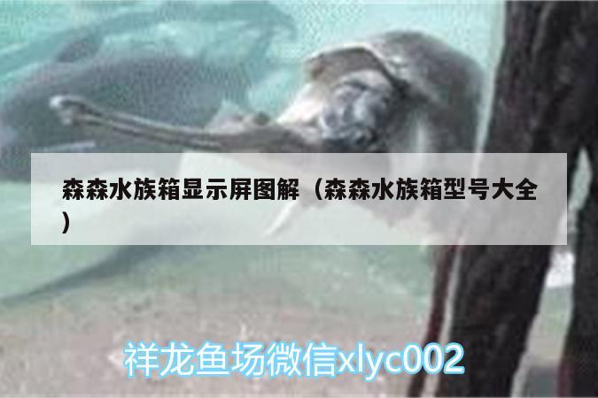 森森水族箱顯示屏圖解（森森水族箱型號(hào)大全） 魚(yú)缸/水族箱 第2張