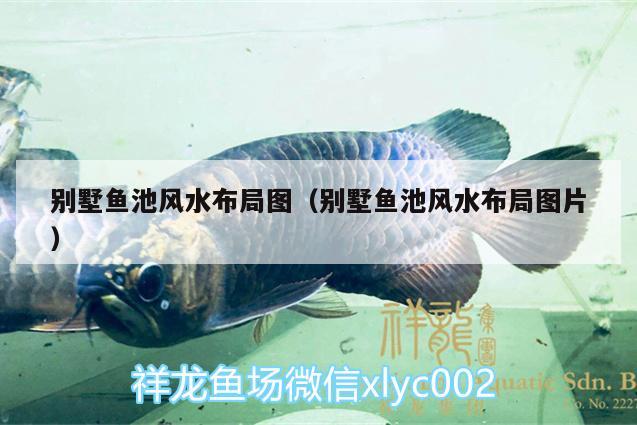 別墅魚池風(fēng)水布局圖（別墅魚池風(fēng)水布局圖片）