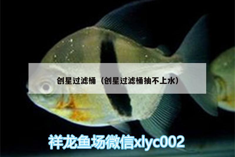 創(chuàng)星過(guò)濾桶（創(chuàng)星過(guò)濾桶抽不上水） 福魟魟魚(yú)