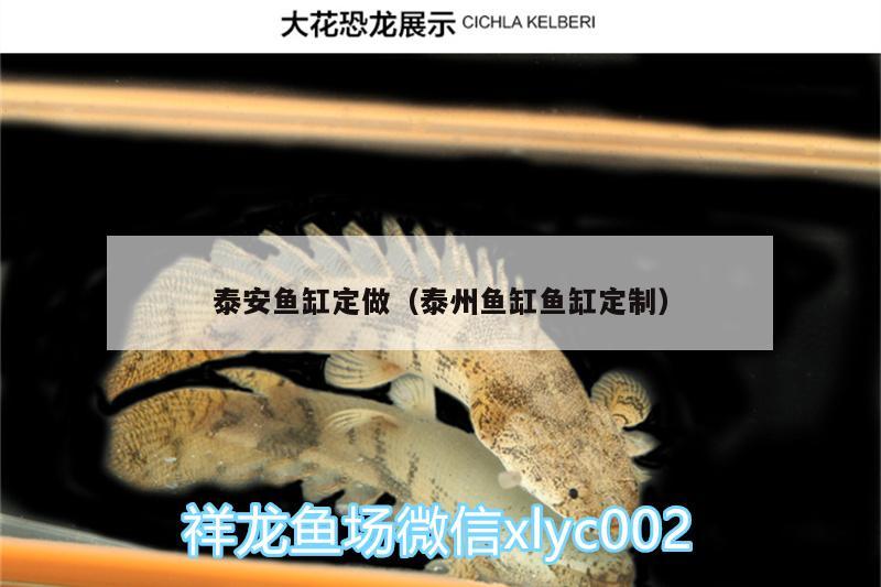 泰安魚缸定做（泰州魚缸魚缸定制） 肺魚 第3張