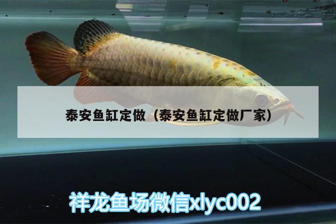 泰安魚(yú)缸定做（泰安魚(yú)缸定做廠家） 伊巴卡魚(yú) 第3張