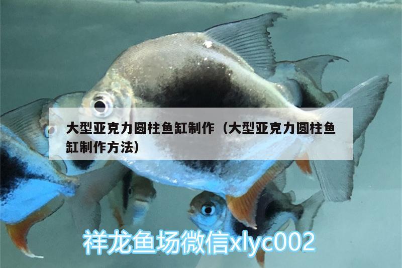 大型亞克力圓柱魚缸制作（大型亞克力圓柱魚缸制作方法） 哥倫比亞巨暴魚苗 第2張