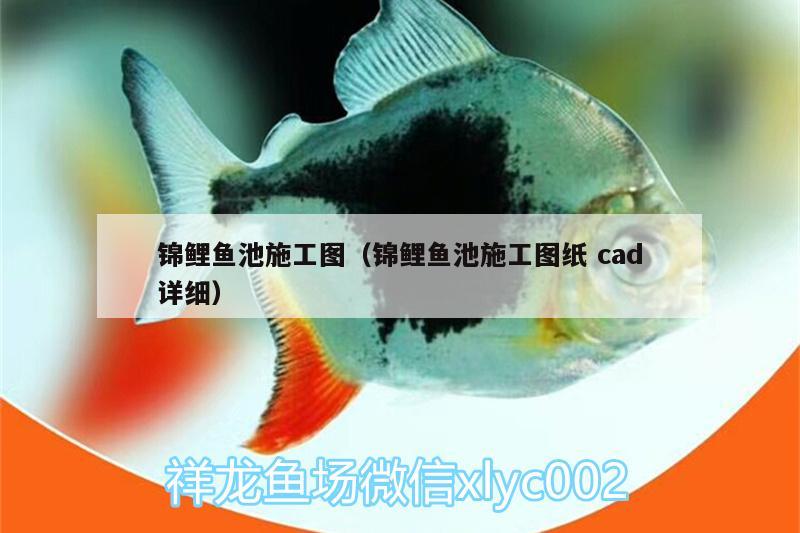 錦鯉魚池施工圖（錦鯉魚池施工圖紙cad詳細）