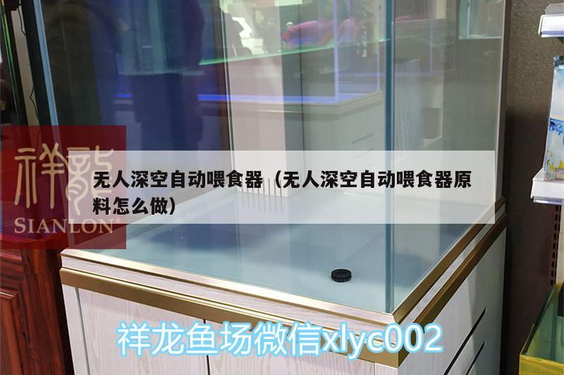 無人深空自動喂食器（無人深空自動喂食器原料怎么做） 喂食器 第2張