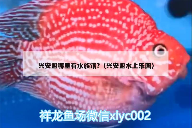 興安盟哪里有水族館?（興安盟水上樂園） 孵化器