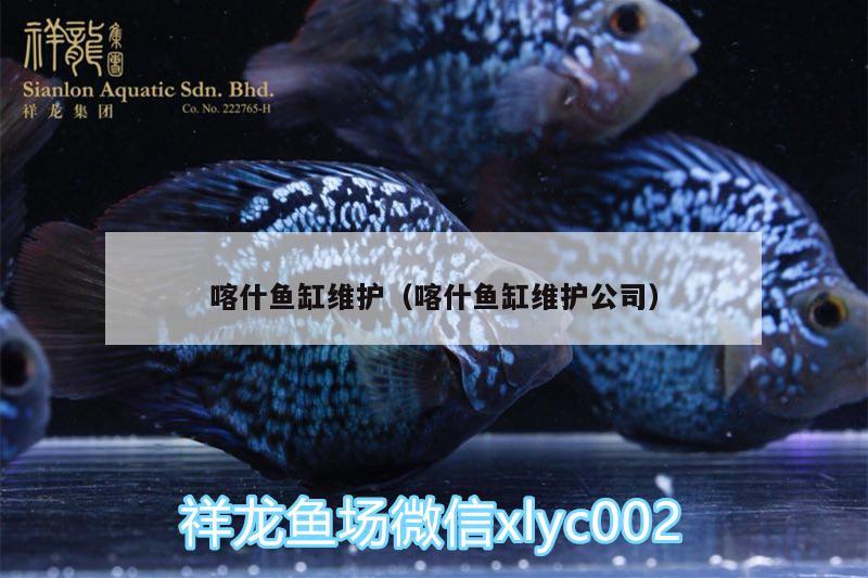 喀什魚缸維護（喀什魚缸維護公司）