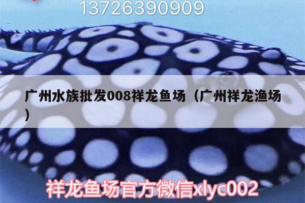 廣州水族批發(fā)008祥龍魚場（廣州祥龍漁場）