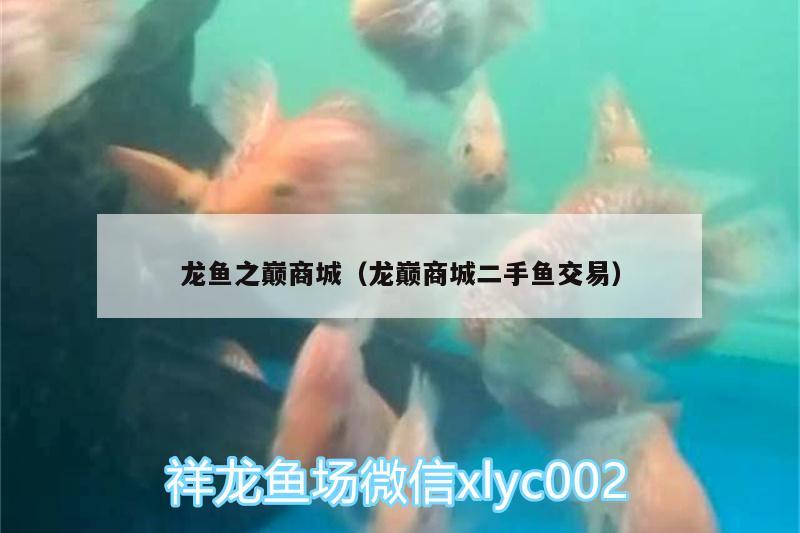 龍魚之巔商城（龍巔商城二手魚交易）