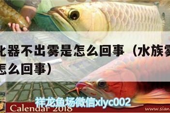 魚缸霧化器不出霧是怎么回事（水族霧化器沒(méi)有霧是怎么回事）