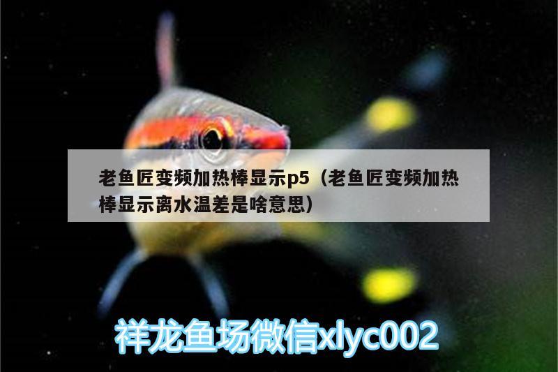 老魚匠變頻加熱棒顯示p5（老魚匠變頻加熱棒顯示離水溫差是啥意思） 老魚匠 第1張