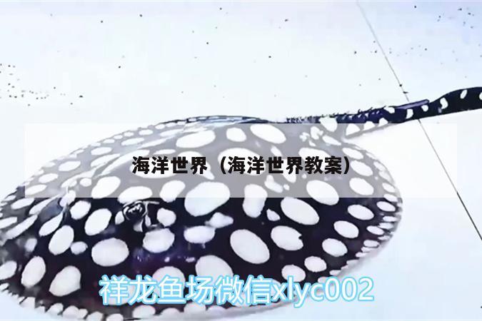 海洋世界（海洋世界教案） 月光鴨嘴魚苗 第2張