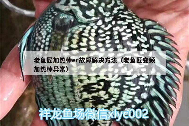 老魚匠加熱棒er故障解決方法（老魚匠變頻加熱棒異常） 老魚匠 第2張