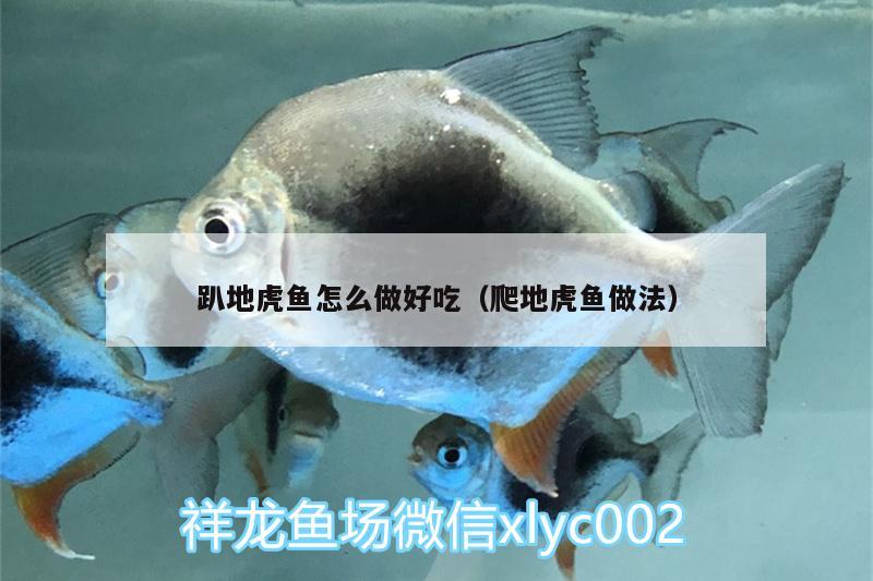 趴地虎魚怎么做好吃（爬地虎魚做法） 虎魚百科 第1張