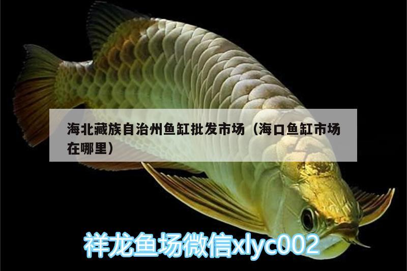 海北藏族自治州魚缸批發(fā)市場(chǎng)（海口魚缸市場(chǎng)在哪里） 虎紋銀版魚 第2張