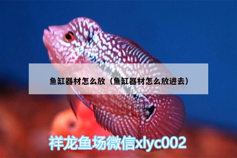 魚缸器材怎么放（魚缸器材怎么放進去）