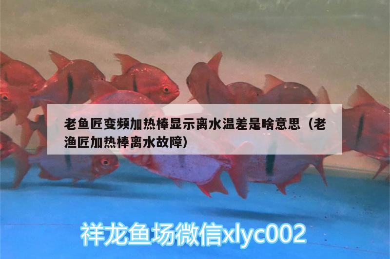 老魚匠變頻加熱棒顯示離水溫差是啥意思（老漁匠加熱棒離水故障）