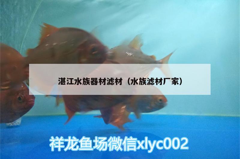 湛江水族器材濾材（水族濾材廠家） 狗頭魚 第1張