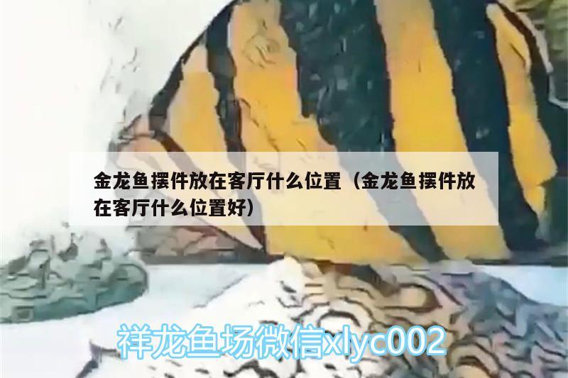 金龍魚擺件放在客廳什么位置（金龍魚擺件放在客廳什么位置好）