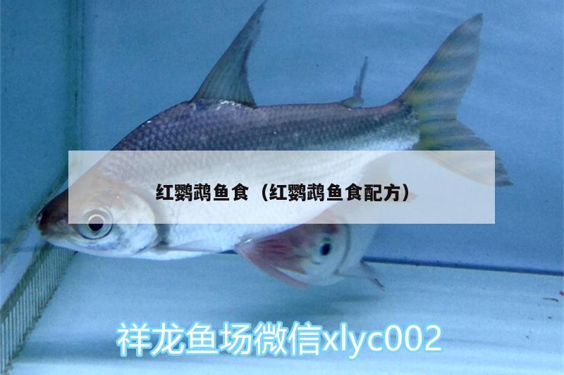 紅鸚鵡魚食（紅鸚鵡魚食配方） 鸚鵡魚 第2張