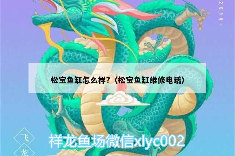 松寶魚缸怎么樣?（松寶魚缸維修電話）