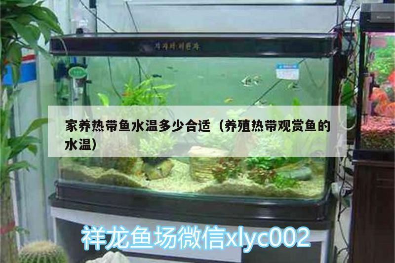 家養(yǎng)熱帶魚水溫多少合適（養(yǎng)殖熱帶觀賞魚的水溫）