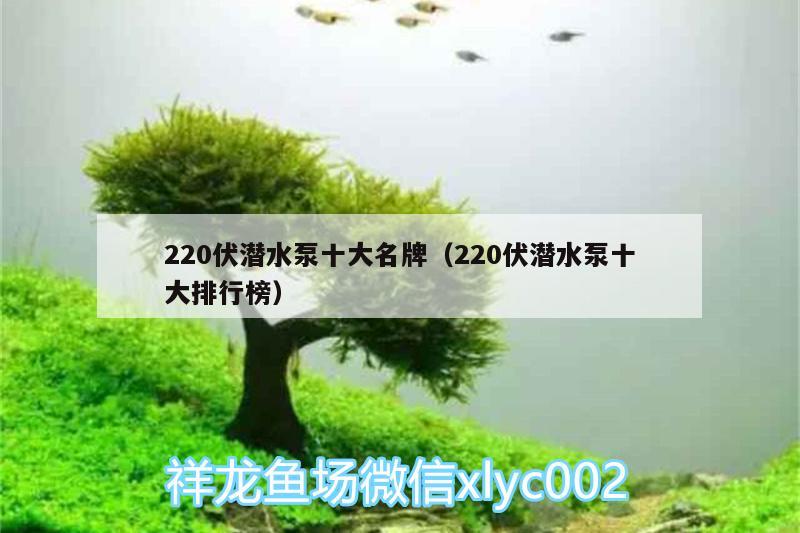 220伏潛水泵十大名牌（220伏潛水泵十大排行榜） 伊巴卡魚 第3張