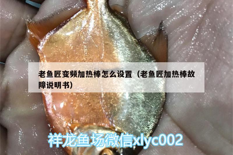 老魚匠變頻加熱棒怎么設(shè)置（老魚匠加熱棒故障說明書）